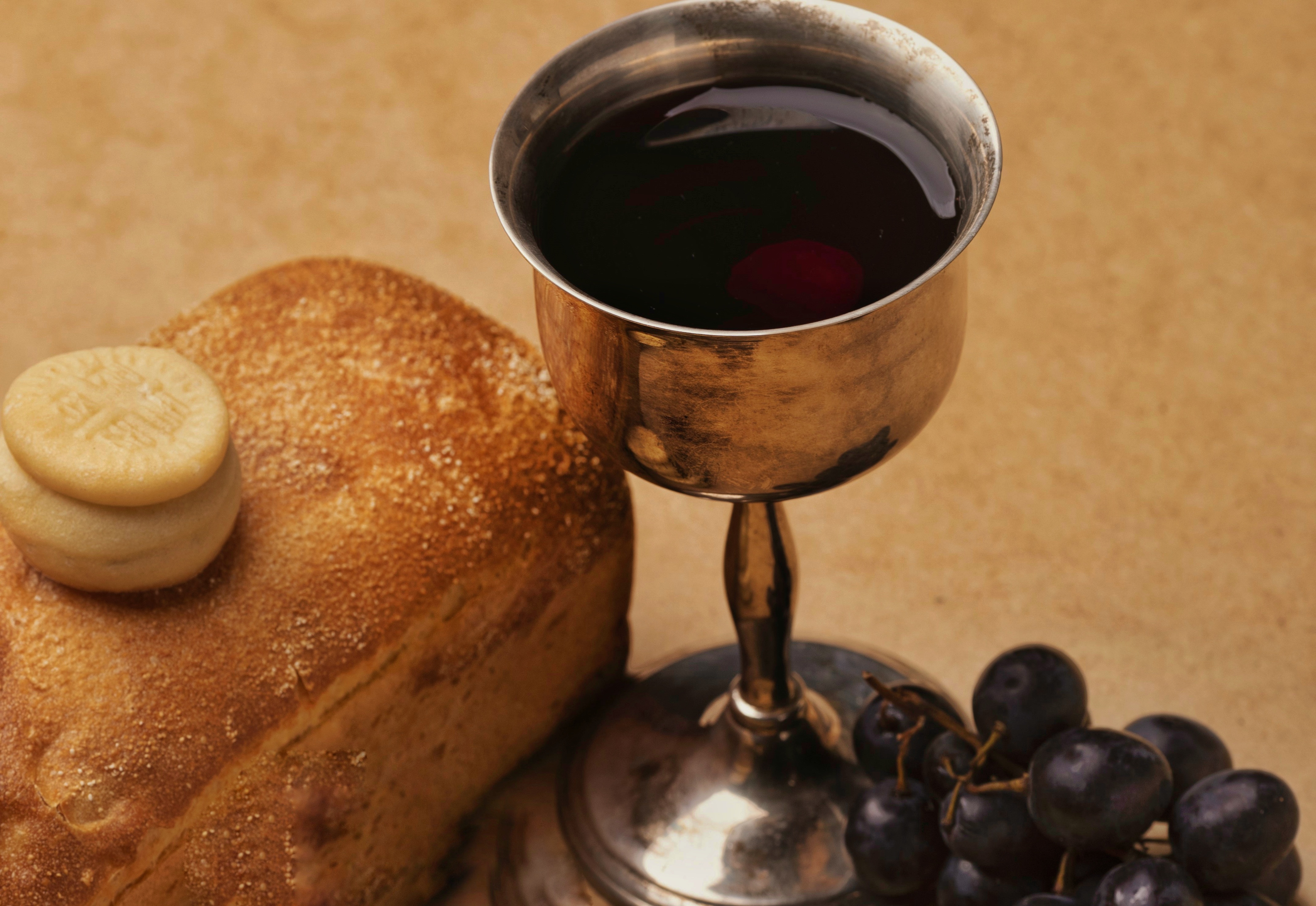 Free HTML5 Website Template by freehtml5.co