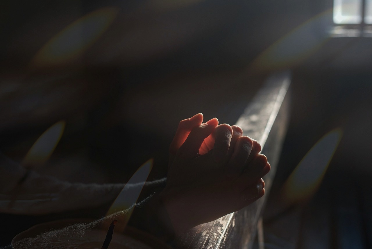 Free HTML5 Website Template by freehtml5.co